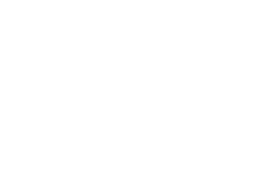 Foley Logo Grey