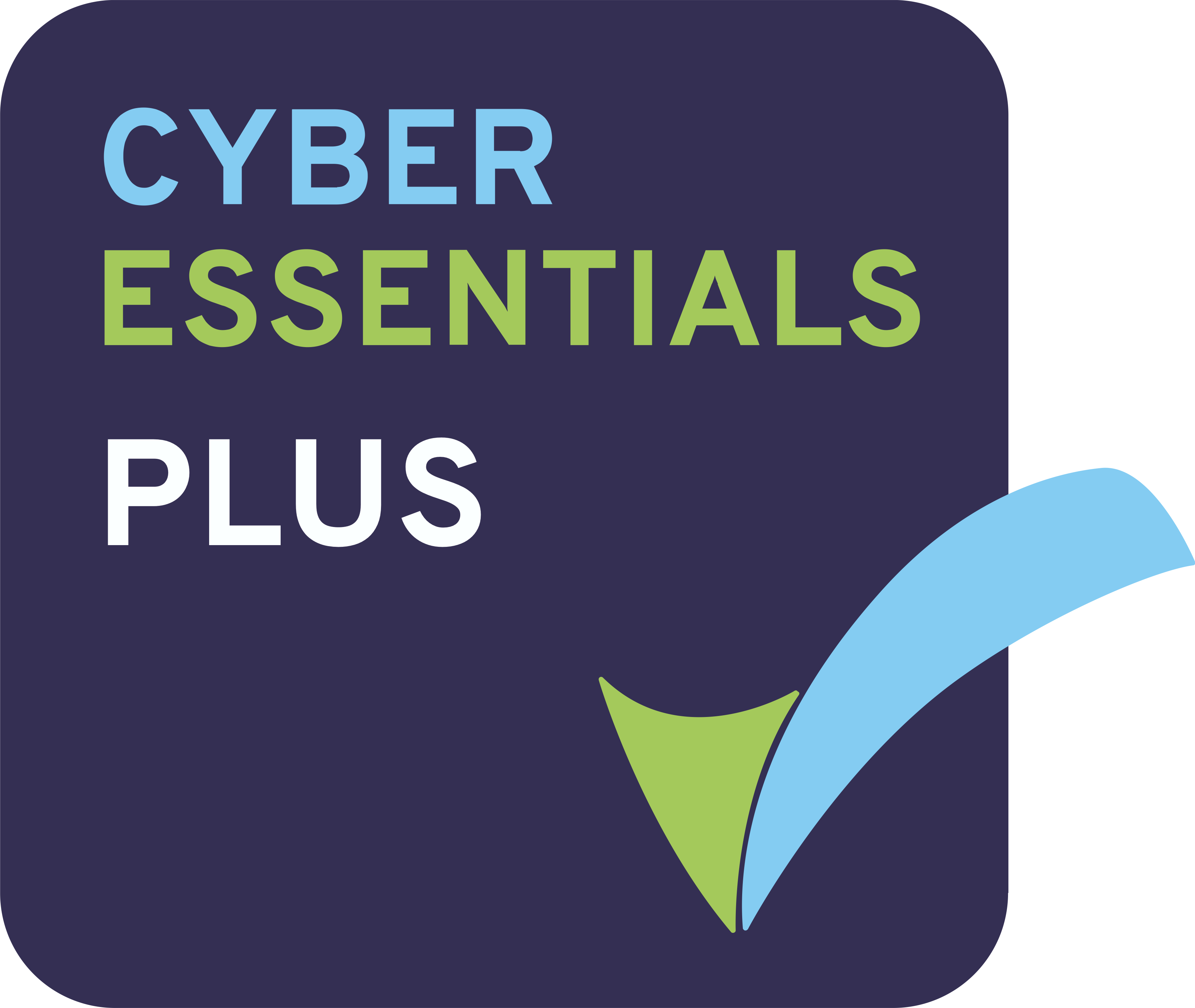 Cyber Essentials Badge