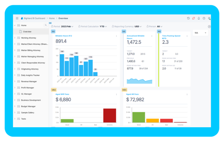 BigHand Business Intelligence Screen Shot of product