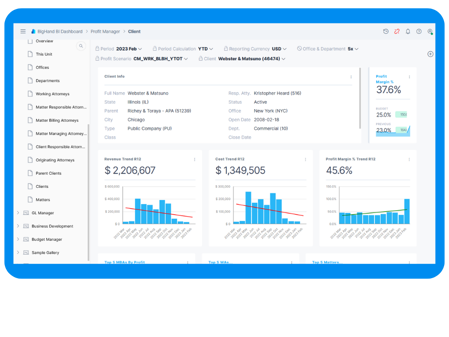 BigHand Business Intelligence Screen shot of product