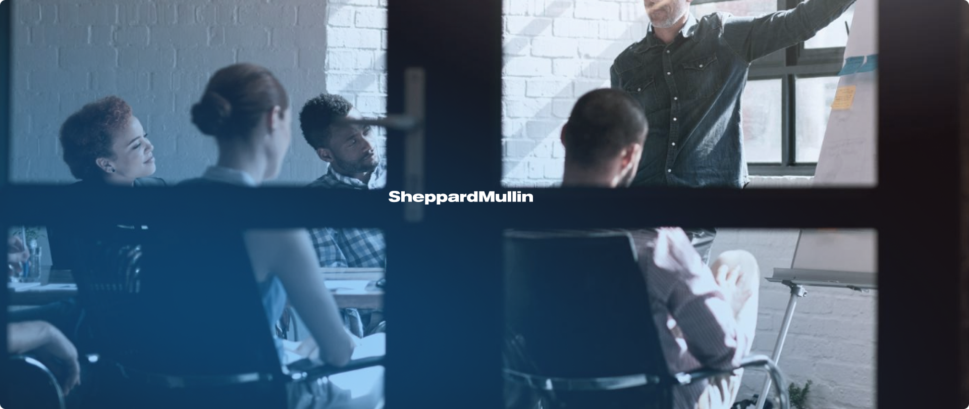 <h2>Sheppard Mullin</h2>