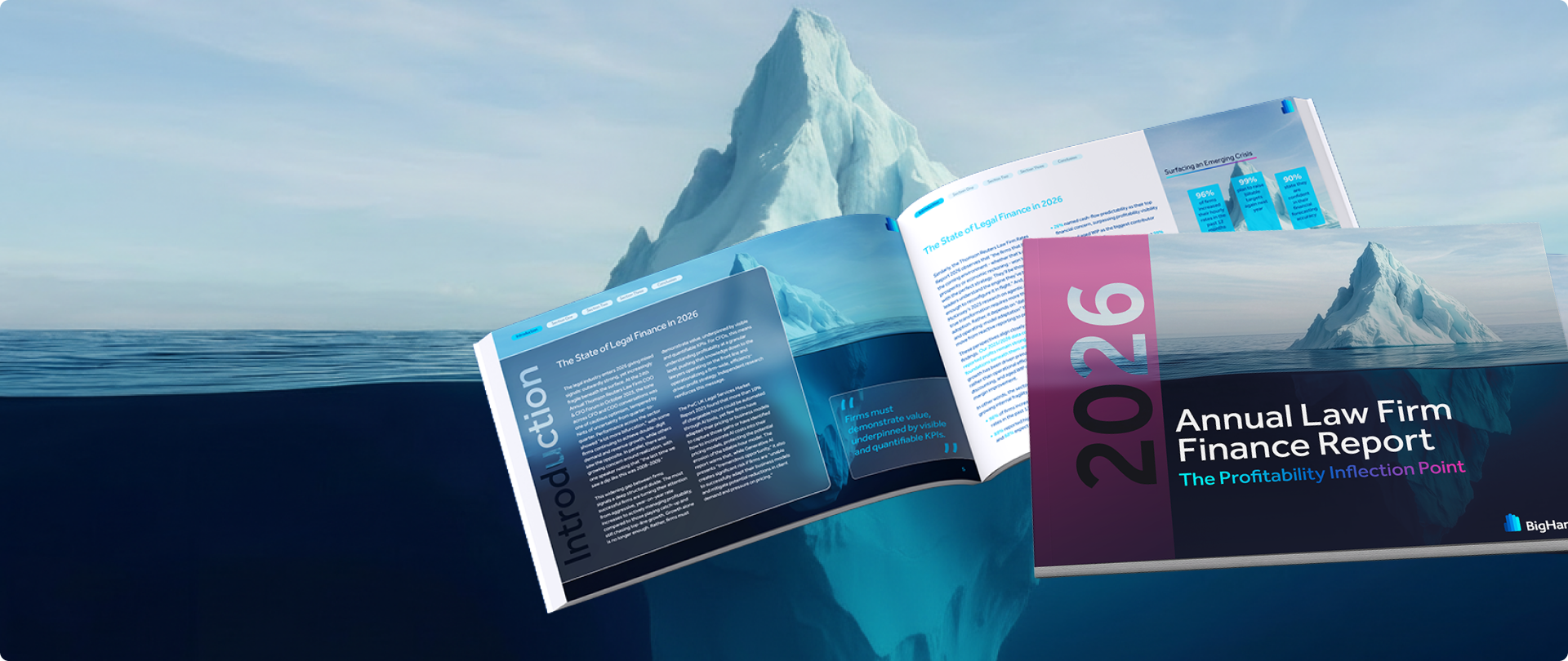 <h3 style="color: #ffffff;">2026 Annual Law Firm Finance Report &nbsp;</h3>